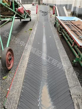800mm width belt